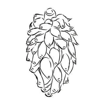 Delucious fruit drawing Stock Illustration