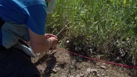 A deminer while searching for tripwires 库存影片 240099904
