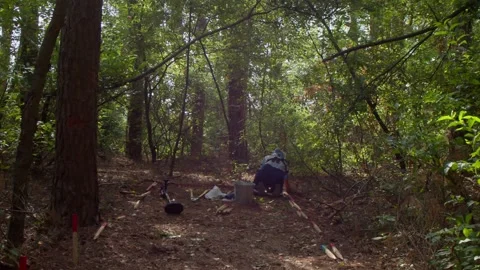 A deminer is working in a mined forest Stock Footage 240100456