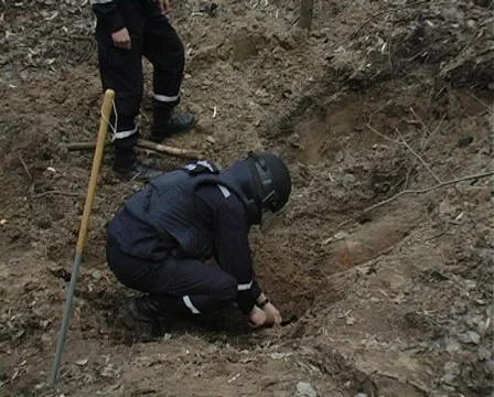 Demining Stock Footage 2360360