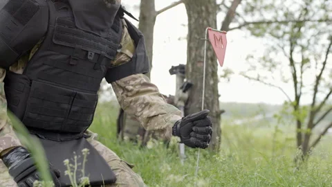 Demining works. War shells lie in the grass on a sunny day Stock Footage 255057836