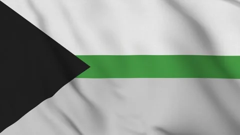 Demiromantic Pride Flag Stock Footage 311727166