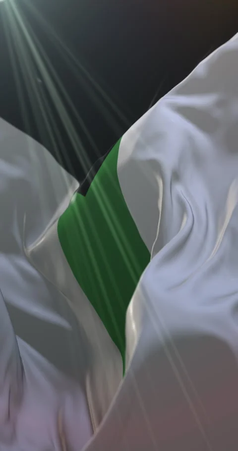 Demiromantic pride flag waving. Loop. 4K Vertical Stock Footage 306968373