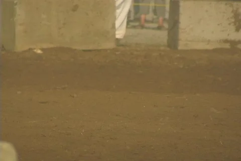 DEMO DERBY 1 Stock Footage 86739