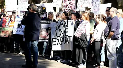 Demo on Live Export Stock-Footage 10678132