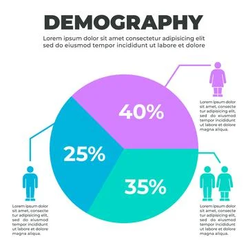 Demographic Population Distribution Pie Chart Illustrazione stock