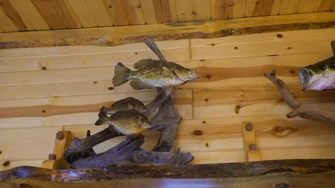 Demolition of Building - Old Structure Collapses and Kicks up a Huge Cloud of Stock Footage 103955325