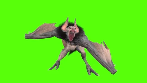 Demon Bat Roar Green Screen Animation an... | Stock Video | Pond5