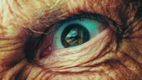 Demonic ugly eye looking at you, fast jerky evil stare, horror conceptual macro Vídeo Stock 334727409