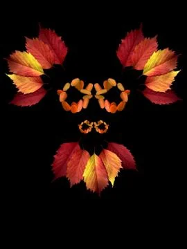 Demons of the Autumn. Autumn colorful leaves on a black background. Stock Photos
