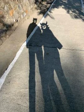 Demons in the shadows of the couple Stock Photos