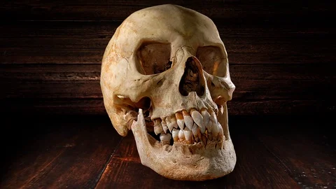 Demonskull Video stock 89870560