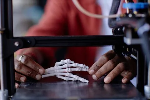 Demonstrating 3D Printing of Human Hand Skeleton Model Stock Photos