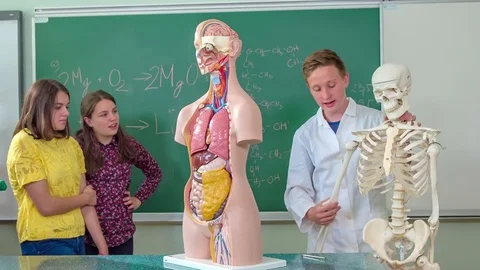 Arm Anatomy Stock Videos – Royalty-Free HD & 4K Videos