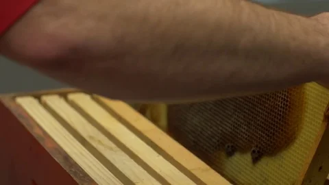 Demonstrating honeycombs with detail Stockbeeldmateriaal 77068165