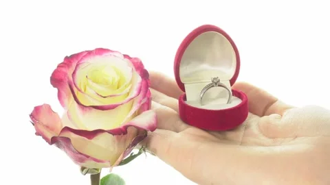 Demonstration of a beautiful rose and ring in a gift box in the shape of a heart Stock-Footage 146228700