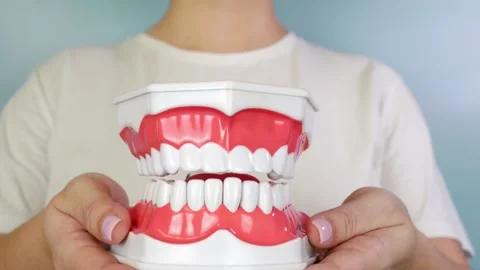 Demonstration of a dental model, a womans hands extending her jaw forward Stock Footage 318182103