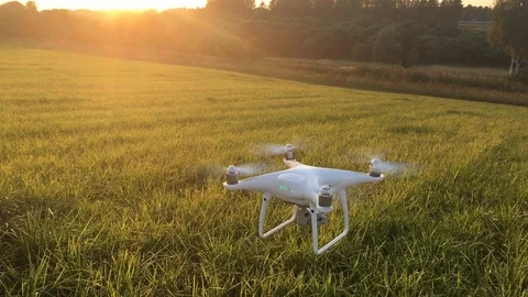 Demonstration flight drone DJI Phantom 4 Pro Plus in the summer field Stock Footage 111587817