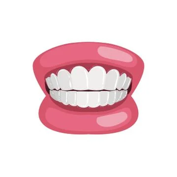Demonstration Jaw And Teeth Prop Stock Illustration