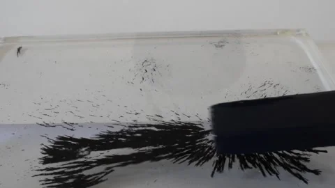 Demonstration of Magnetic Field Lines Stock Footage 248834154