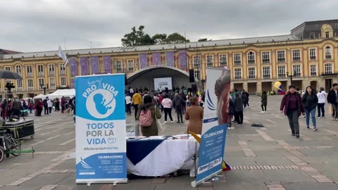Demonstration on the placa bolivar Stock Footage 239414336