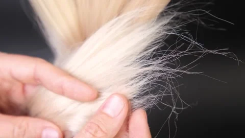 Demonstration of split ends and unkempt hair on blonde hair Stock-Footage 319468124