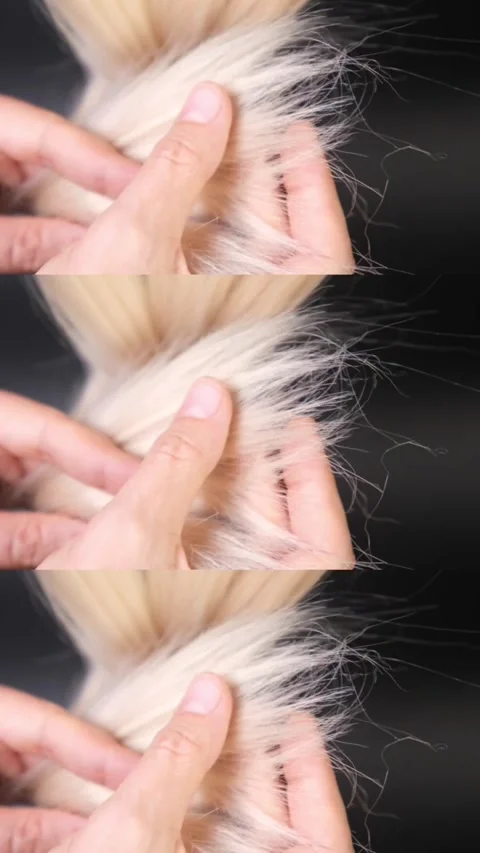 Demonstration of split ends and unkempt hair on blonde hair Stock Footage 321222700