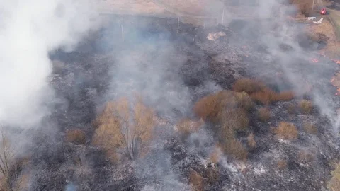 Demonstration of steppe fires from a height Stock Footage 127388040