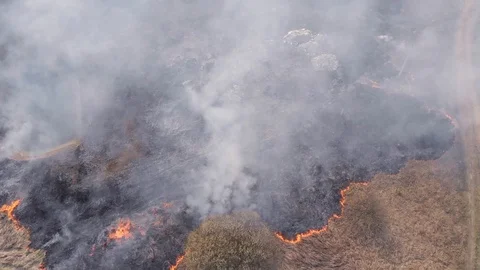 Demonstration of steppe fires from a height Stock Footage 127388062