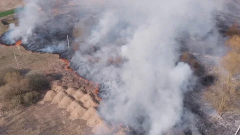 Demonstration of steppe fires from a height Stock Footage 127388149