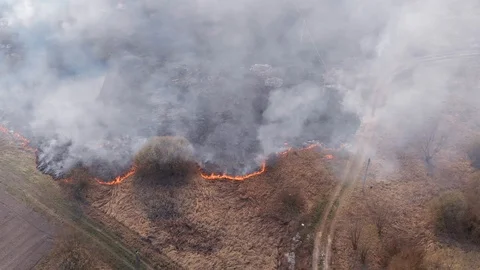Demonstration of steppe fires from a height Stock Footage 127388201