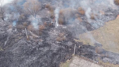 Demonstration of steppe fires from a height Stock Footage 127388258