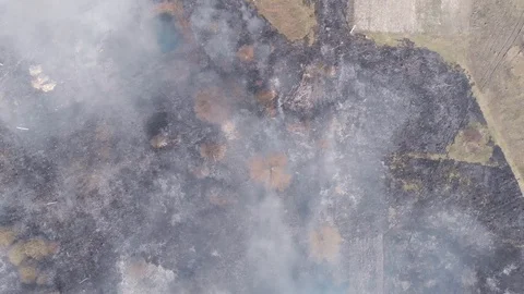 Demonstration of steppe fires from a height Vídeos de archivo 127388495