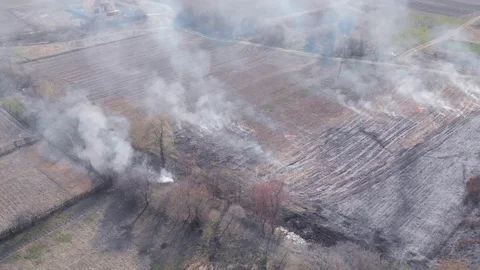 Demonstration of steppe fires from a height Stock Footage 127389086