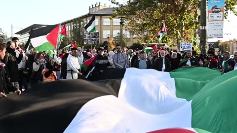 Demonstration in support of Palestine Vídeo Stock 255962962