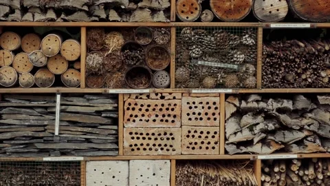 Demonstration various natural materials brick, wood, on street. background 库存影片 130569206