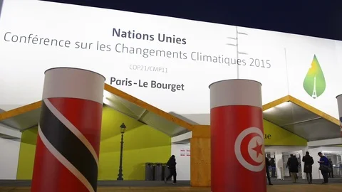 Demonstrations at the climate negotiations in Paris Stock Footage 95981018