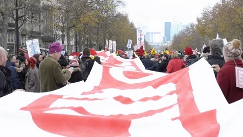 Demonstrations at the climate negotiations in Paris Stock Footage 95981323
