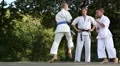 Demonstrations of martial arts at martial arts festival in Feofania park in Kiev HD Footage