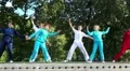 Demonstrations of martial arts at martial arts festival in Feofania park in Kiev HD Footage