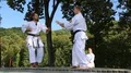 Demonstrations of martial arts at martial arts festival in Feofania park in Kiev HD Footage