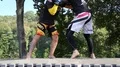 Demonstrations of martial arts at martial arts festival in Feofania park in Kiev HD Footage
