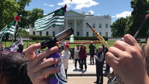 Demonstrators with Marijuana Paraphernalia in front of The White House Stock Footage 75416797
