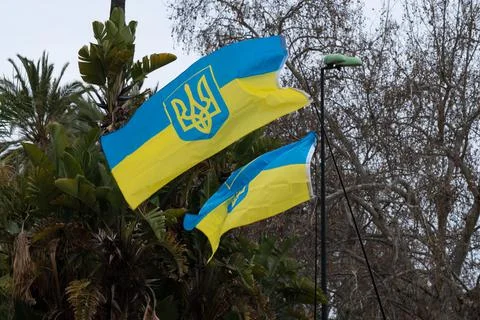 Demonstrators in support of Ukraine. Stock Photos