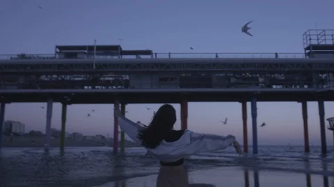 Den Haag Beach Package 1 | woman running on beach next to panorama wheel Stock Footage 116185218