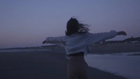 Den Haag Beach Package 5 | woman running on beach with seagulls flying by Stock Footage 116188849