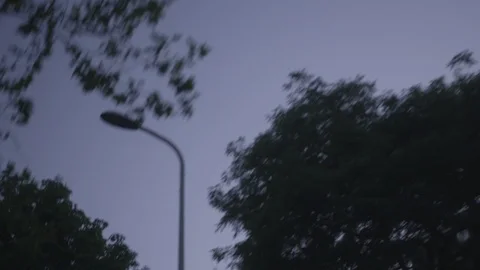 Den Haag Hague Pack 21 | Passing by trees, houses, buildings, sky, neighborhood Stock Footage 116202453