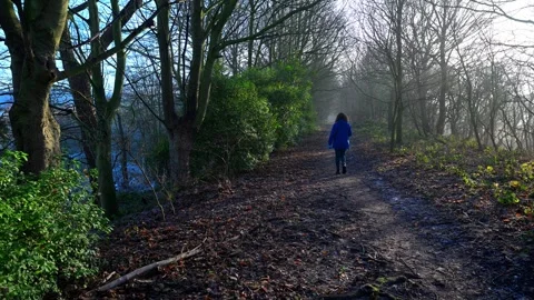 Denaby Ings Stock Footage 321469711