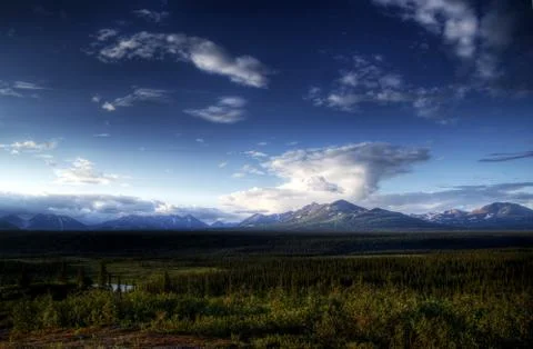 Denali highway view Stock Photos