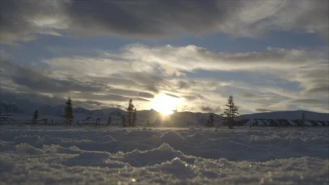 Denali Low Angle Closeup Dog Sledding Stock Footage 123931764